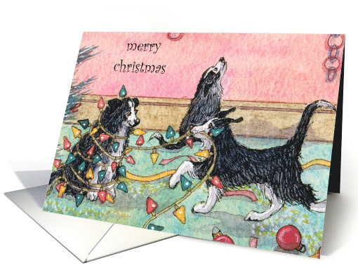 Merry Christmas, dog help with tree lights, christmas card (315962)