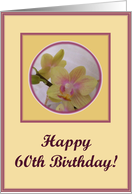 happy birthday paper greeting card 60 card