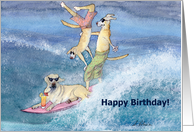 paper greeting card, birthday card, dog, card
