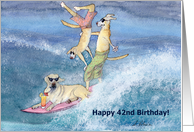 paper greeting card, birthday card, 42, forty-two, dog, card