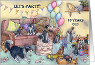 birthday party invitation, 16, sixteen, sixteenth, card