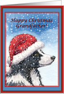 Christmas card, Grandfather, dog, Border Collie card
