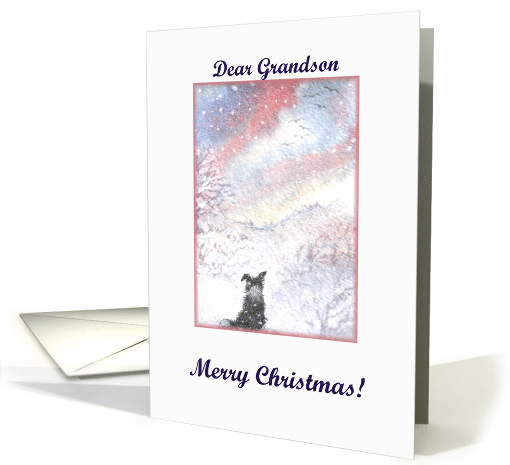 Christmas card, dog, paper cards, Grandson, card (485728)