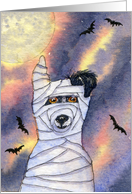 blank card, notecard, paper cards, halloween, card