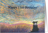 birthday card, border collie, dog, 11, card