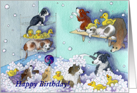 HappyB irthday, puppies, bubble bath card