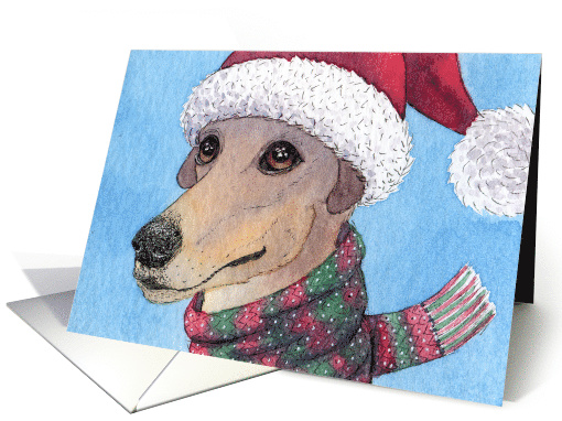 greyhound, blank card, christmas, hat and scarf, card (720198)