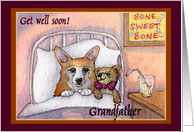 corgi, get well soon grandfather, dog, teddy bea card