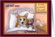corgi, get well soon grandma, dog, teddy bear card