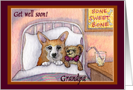 corgi, get well soon grandpa, dog, teddy bea card