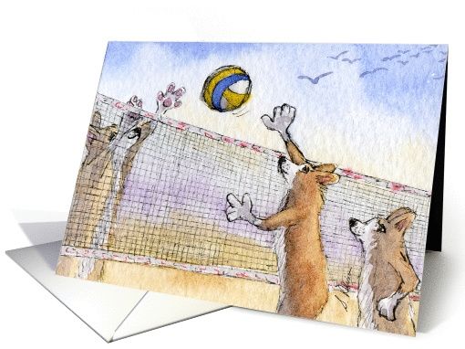 The Corgi Games, volleyball, corgi, dog, card (927476)