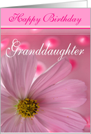 Happy Birthday Granddaughter card