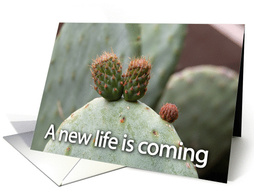 new life coming card (129761)