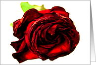 a rose for you card