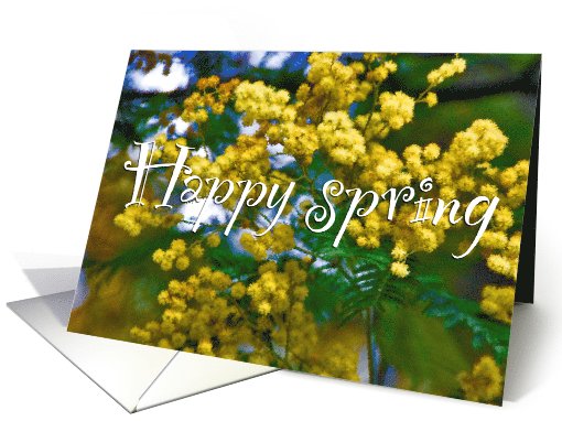 spring card with mimosa card (595082)