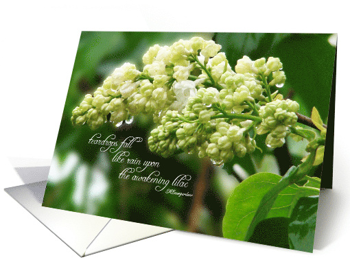 Sympathy White Lilac in Rain Teardrops Poem for Her card (1094724)