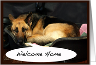 Welcome Home Dog card