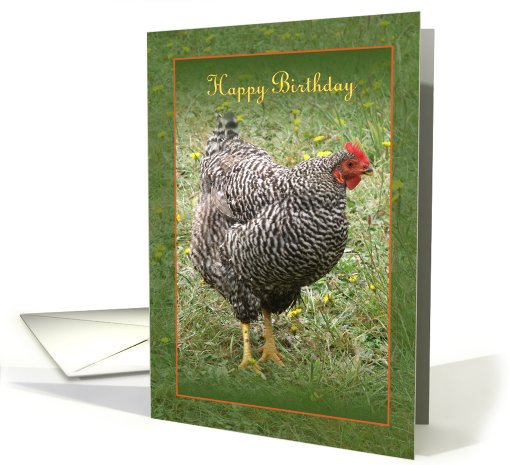 Happy Birthday Hen card (207043)