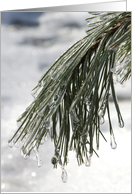 Winter Solstice - Icy Pine Needles card