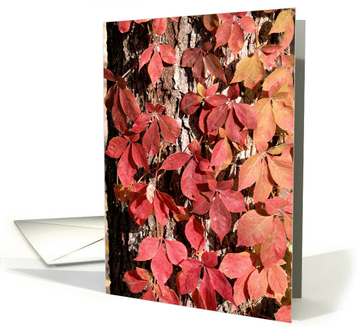 Autumn Leaves Happy Fall - Red Woodbine card (135026)