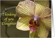 Thinking of You Daughter - Yellow Orchid Flower card