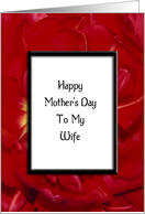 Happy Mother’s Day - To My Wife - Red Tulip Flower card