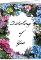 Thinking of You - Hydrangea card