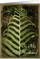Happy Father’s Day - To My Husband - Green Fern Frond card