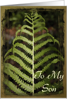 Happy Father’s Day - To My Son - Green Fern Frond card