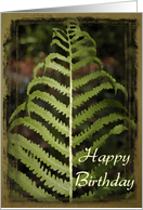 Happy Birthday - Miss You - Green Fern Frond card