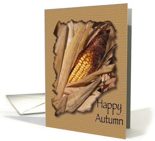 Happy Autumn - Dried Corn card (224044)