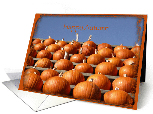 Happy Autumn - Orange Pumpkins card (224537)