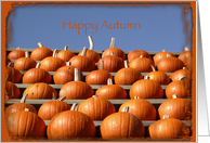 Happy Autumn - Orange Pumpkins card