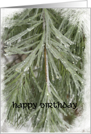 Happy Birthday - Icy Pine Needles card