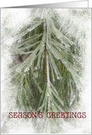 Icy Pines Season’s Greetings - Thank You for Your Business card
