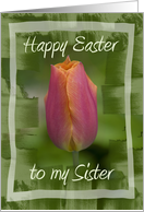 Happy Easter to My Sister - Pink Tulip Flower card