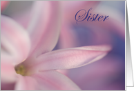Be My Bridesmaid Sister Pink Hyacinth Flower card