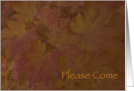 Thanksgiving Dinner Invitation Colored Maple Leaves card