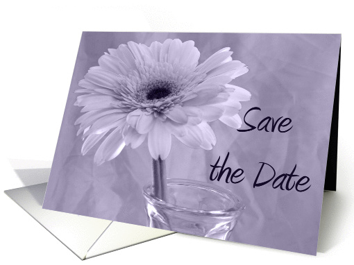 Wedding Save the Date Gerbera Daisy with Purple Tint card (583978)
