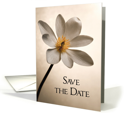 Elegant White Wildflower Wedding Save the Date Announcement card