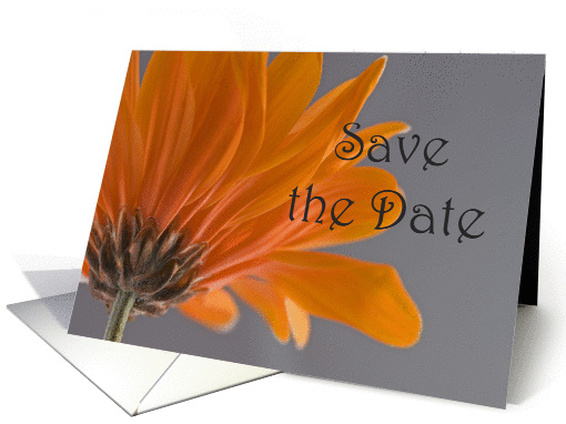 Orange Daisy Wedding Save the Date Announcement card (805325)