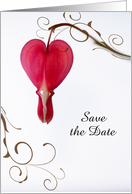 Wedding Save the Date Announcement Red Bleeding Hearts card
