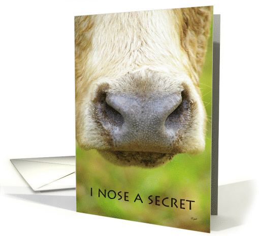 Happy Birthday Funny Cow Nose card (271326)