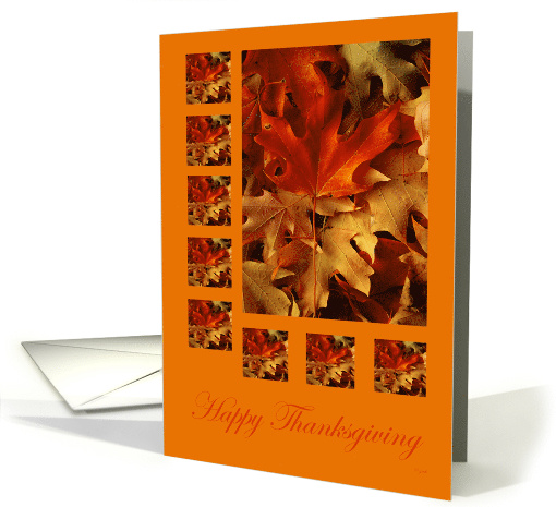 Colorful Autumn Leaves Thanksgiving card (289200)