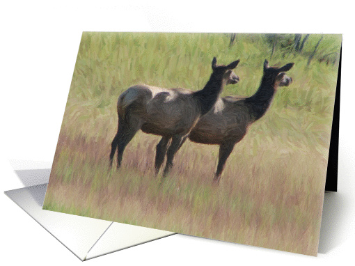 Doe Elk Duo Blank card (131791)