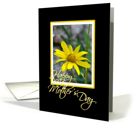 Yellow Daisy card (142598)