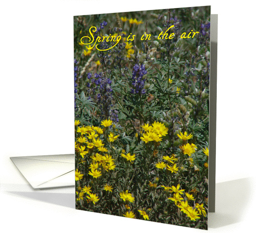 Spring is in the air card (152886)