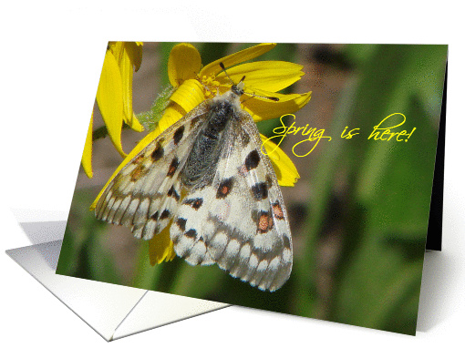 Spring is here card (152920)