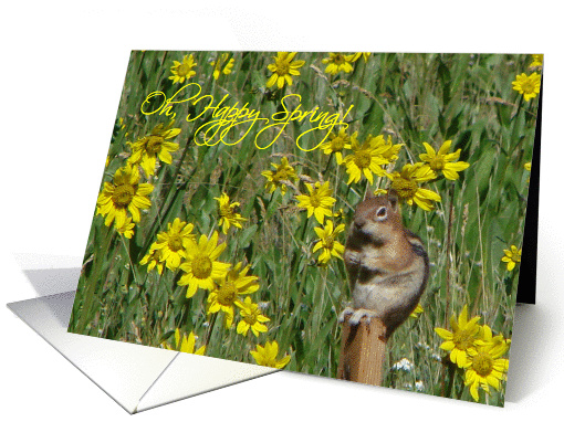 Oh, Happy Spring! card (152954)