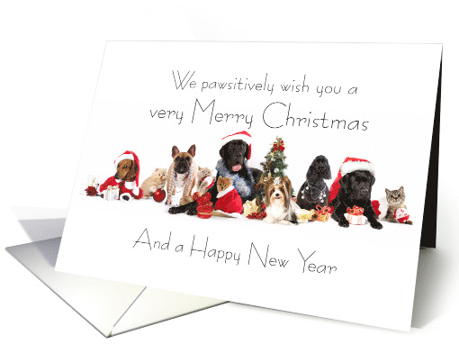 A Pawsitively Merry Christmas card (1494296)